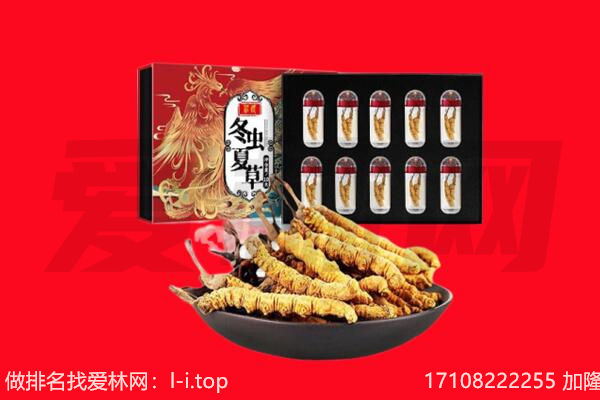 滁州全椒县回收虫草.jpg